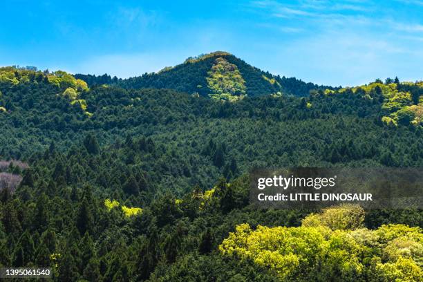 satoyama in early summer - 奈良県 ストックフォトと画像