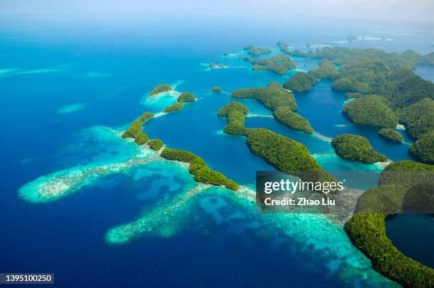 the gorgeous “garden on the ocean” of palau: aerial view of rock islands - pacific islands stock pictures, royalty-free photos & images