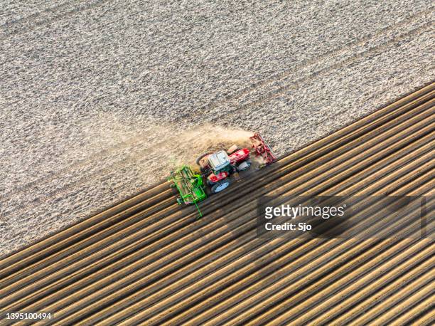 tractor pplanting potato seeldings in  the soil during springtime - plöjd åker bildbanksfoton och bilder