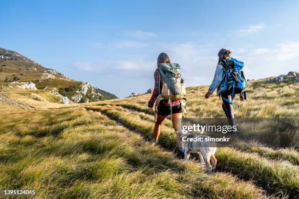 women hiking on grassy land - black hair back stock pictures, royalty-free photos & images