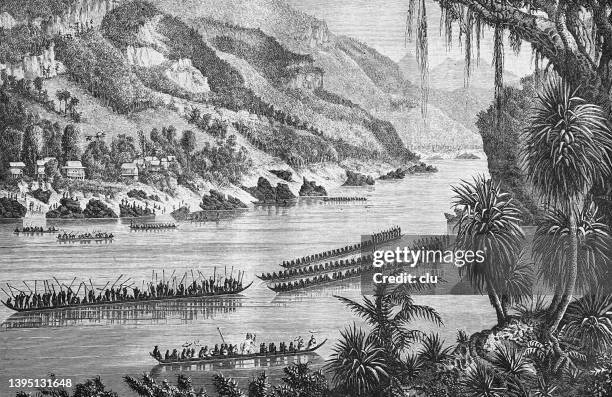 mekong river - mekong delta vietnam stock illustrations