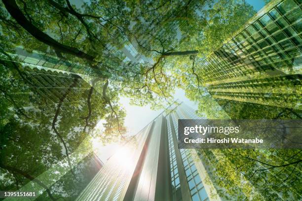 cityscape mixed with green plants, multi layered image - symbiotic relationship - fotografias e filmes do acervo