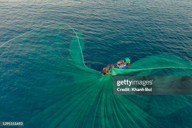 catching anchovies in the near sea coast in southeast asia - publicity still stock-fotos und bilder