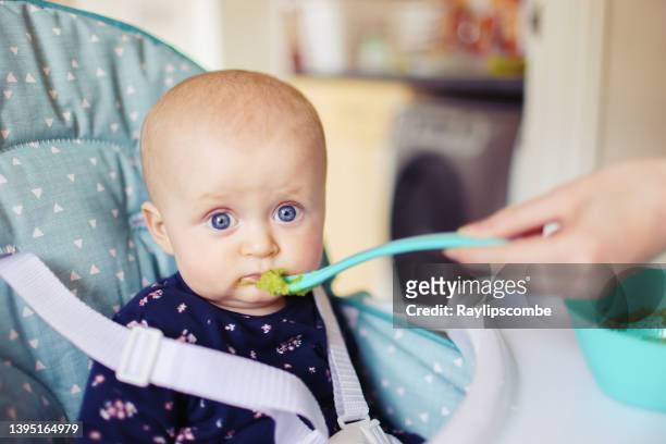 young mum weaning her rather unsure baby girl with pureed broccoli pulling a variety of expressions as she tastes the broccoli for the first time. - high chair stock pictures, royalty-free photos & images