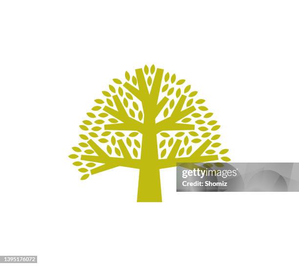 tree with leaves icon - my creation graphics design stock illustrations