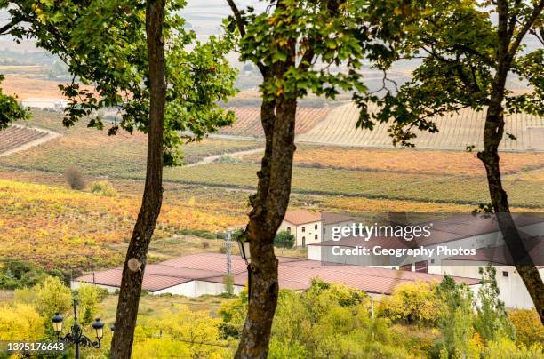 View of vineyards with autumn colors from LaGuardia, Alava, Basque Country, northern Spain.