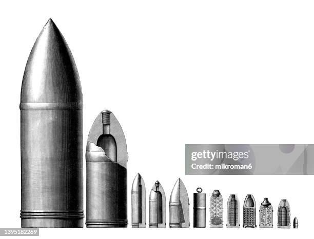 Segmented Shells 545 Bullet Drawing Stock Photos, High-Res Pictures, and Images - Getty ...