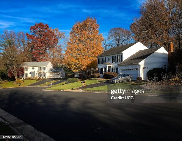 Trees in fall colors in neighborhood in Fairfax, Virginia.