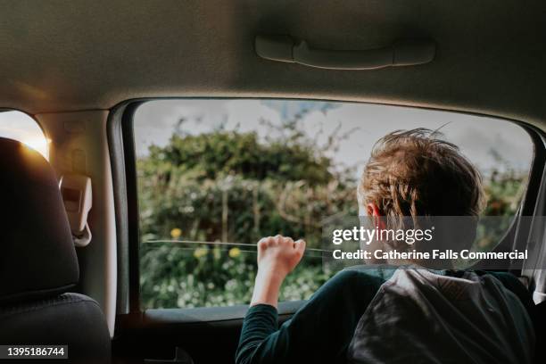 young boy in the back of a car looks out of the window on a sunny day - leaving home stock-fotos und bilder