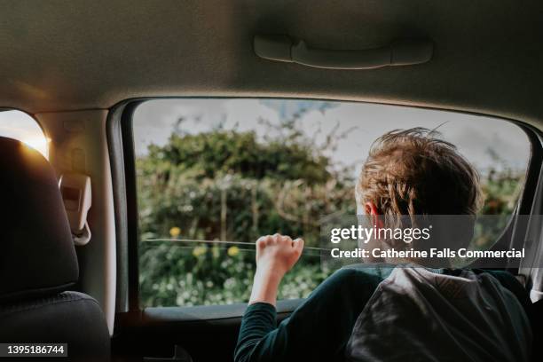 young boy in the back of a car looks out of the window on a sunny day - car window stockfoto's en -beelden