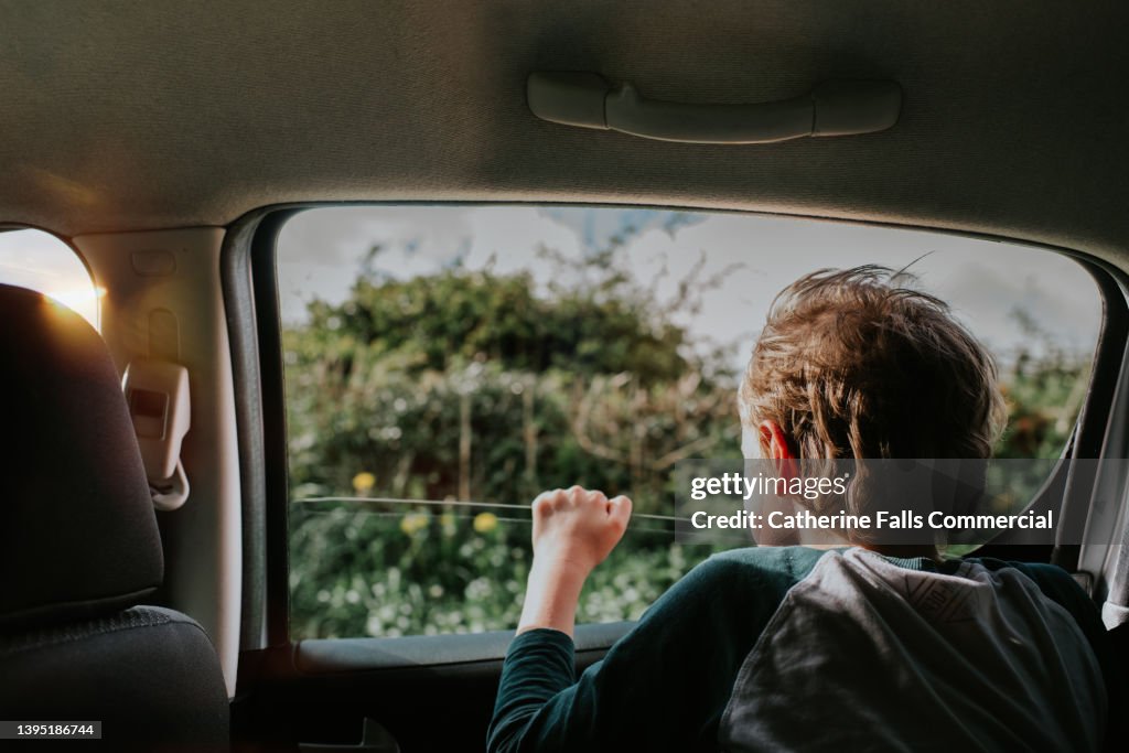 Young boy in the back of a car looks out of the window on a sunny day