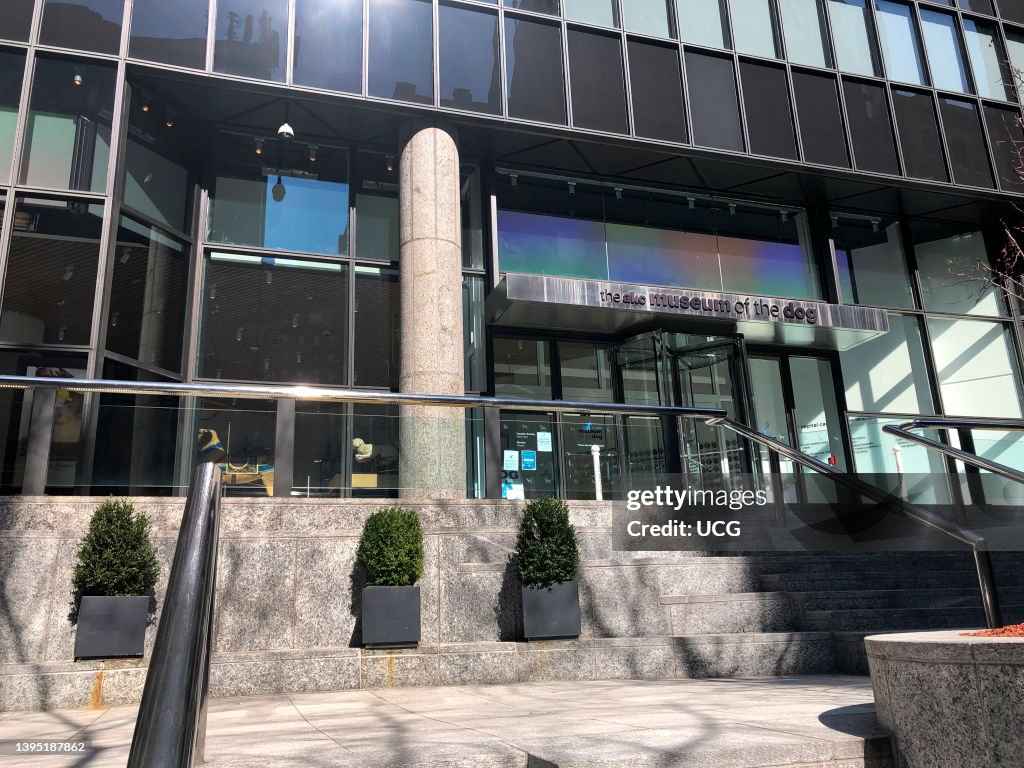 The AKC, American Kennel Club, Museum of the Dog, Midtown Manhattan, New York city