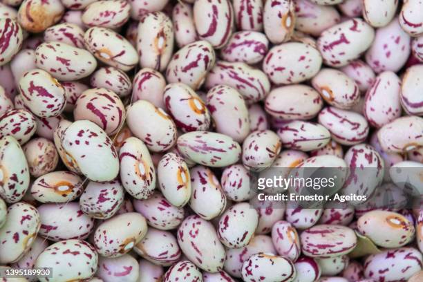 close up shot of pinto beans filling the frame - pinto bean stock pictures, royalty-free photos & images