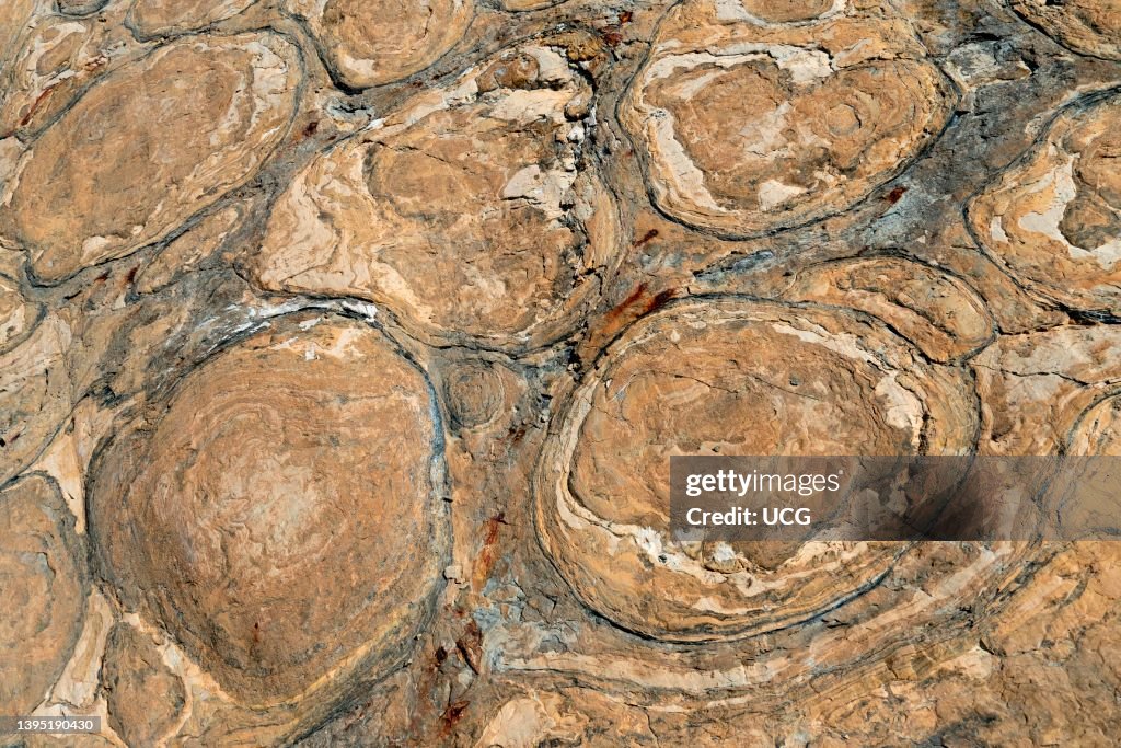 Proterozoic stromatolites, fossilized algae, and glacial striations in Helena Dolomite, Northern Montana