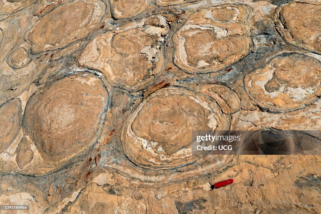 Proterozoic stromatolites, fossilized algae, and glacial striations in Helena Dolomite, Northern Montana