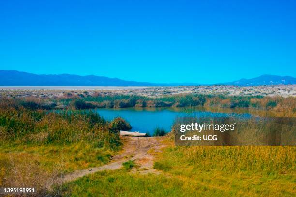 Black Rock Hot Springs Photos and Premium High Res Pictures Getty Images