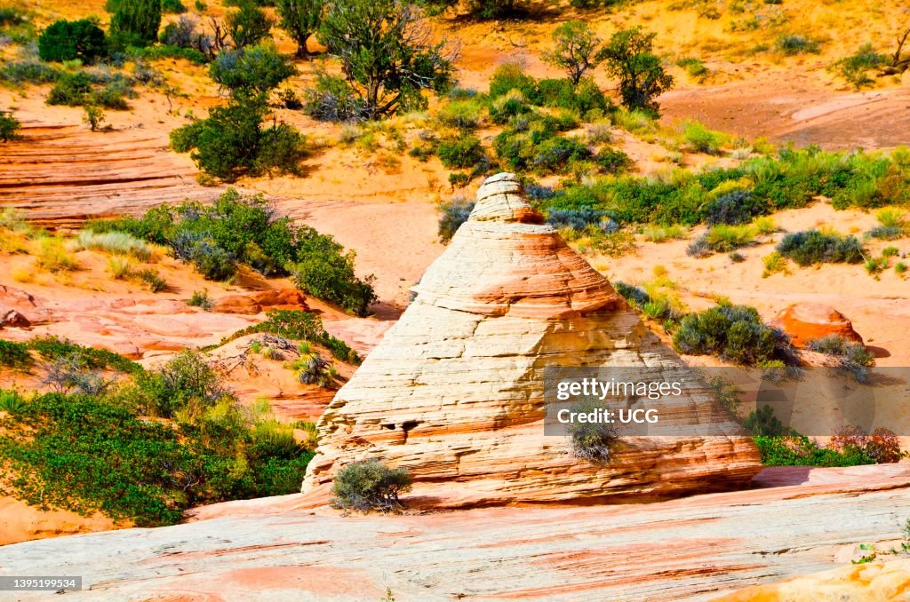 North America USA Arizona Vermillion Cliffs National Monument north-america-usa-arizona-vermillion-cliffs-national-monument