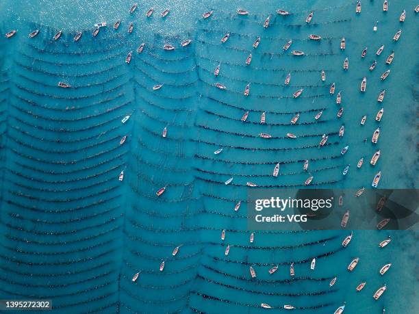 Aerial view of fishing boats at a kelp farm on May 1, 2022 in Dalian, Liaoning Province of China.