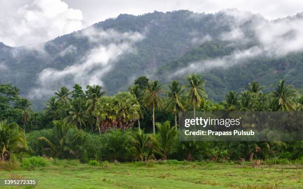 kiriwong village, lan saka district. the best ozone location in thailand - kiriwong stock pictures, royalty-free photos & images