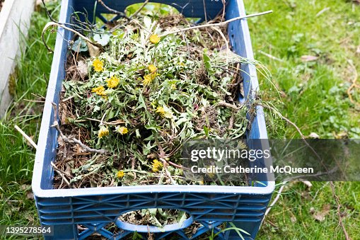 Repurposing & composting time! Repurposing & composting time!