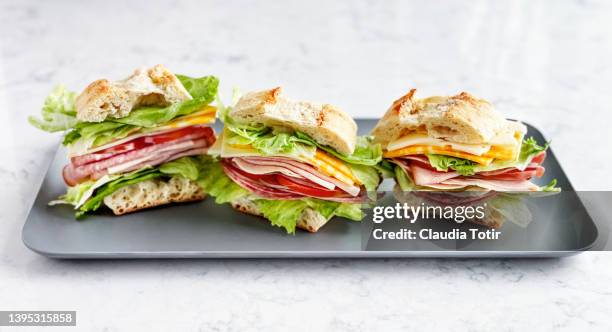 sandwiches with salami, ham, cheese, and tomatoes on a tray on white background - cold cuts fotografías e imágenes de stock