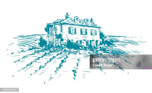 vineyard house drawing - vineyard stock illustrations