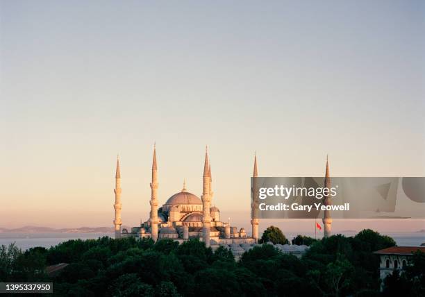 blue mosque, istanbul. - istanbul bildbanksfoton och bilder