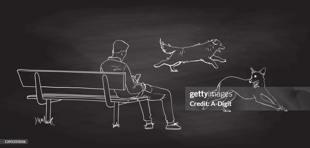 Man On Bench With Dogs Running Blackboard