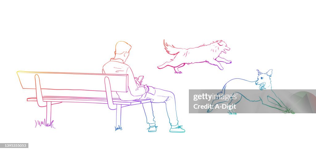 Hombre en el banco con perros corriendo rainbow