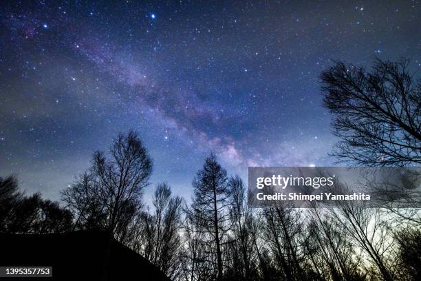 milky way and silhouettes of trees - präfektur tochigi stock-fotos und bilder