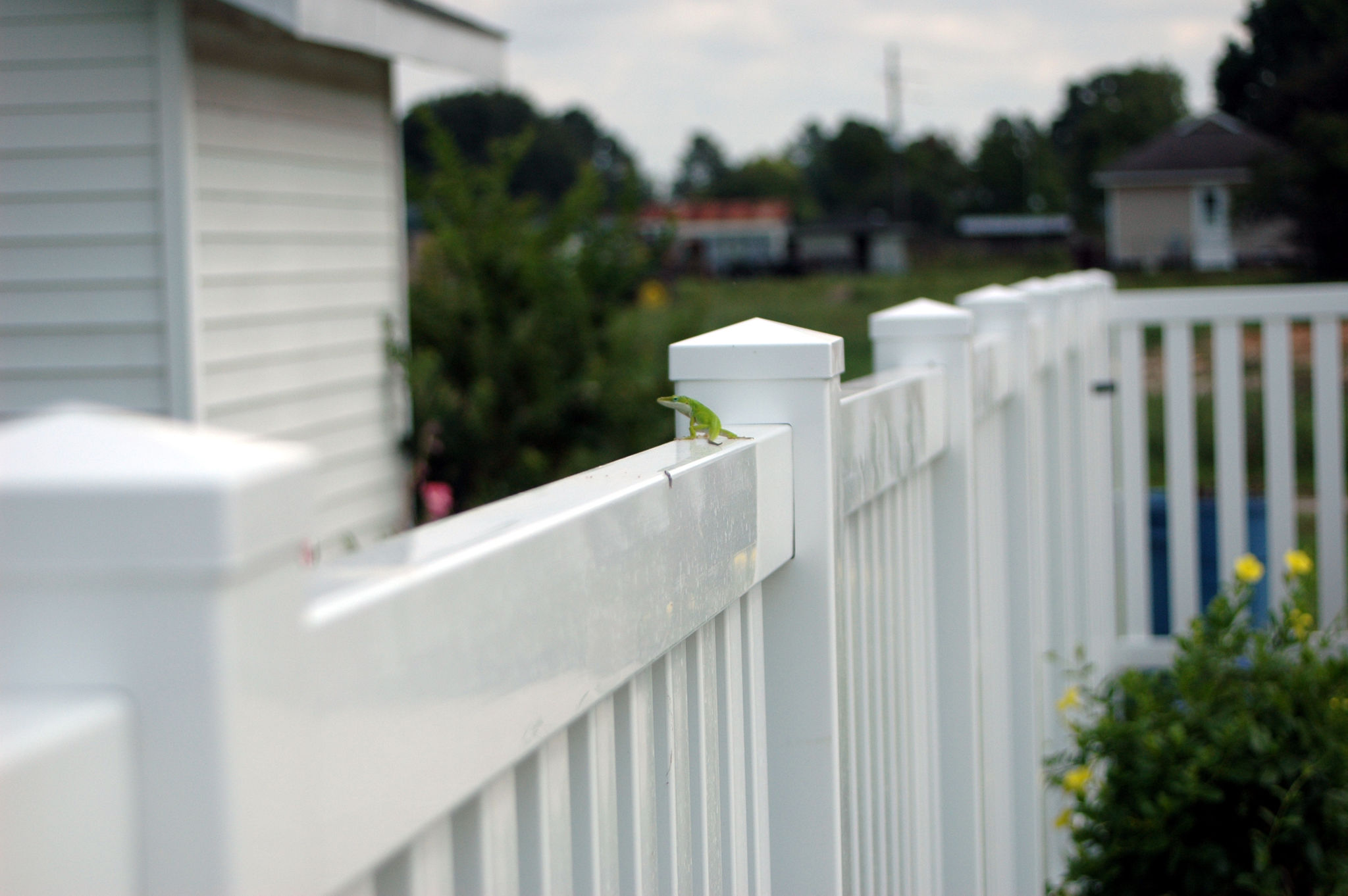 vinyl fence color