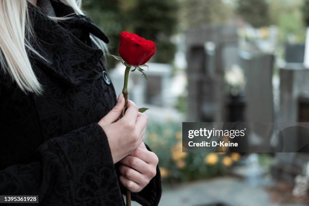 cemetery - widow stock pictures, royalty-free photos & images