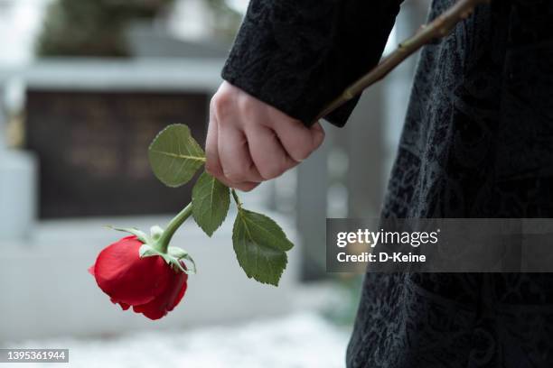 cementerio - funeral fotografías e imágenes de stock