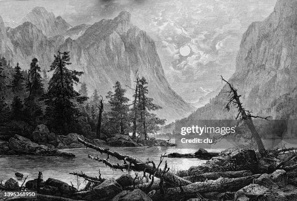 tyrol toblacher see - dolomites stock illustrations