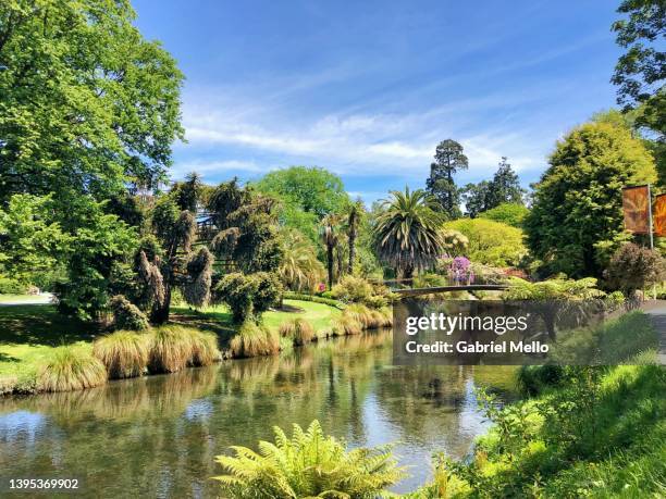 views of the botanical garden in christchurch - botanical garden 個照片及圖片檔