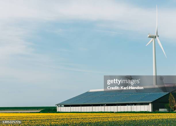 solar panel's on the roof of a barn - tulip field, wind turbine - fienile foto e immagini stock