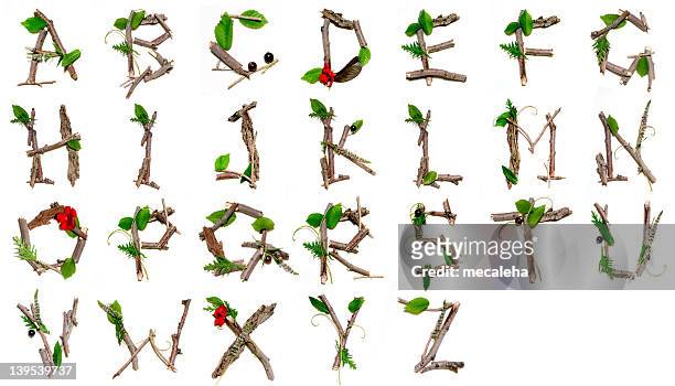 nature alphabet - twig stock pictures, royalty-free photos & images