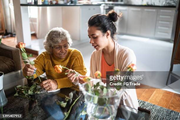 seniorin und ihre enkelin bereiten gemeinsam zu hause eine blumenvase vor - generationsunterschied stock-fotos und bilder