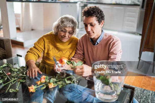 senior woman and her grandson preparing a flower vase together at home - rose cut stock pictures, royalty-free photos & images