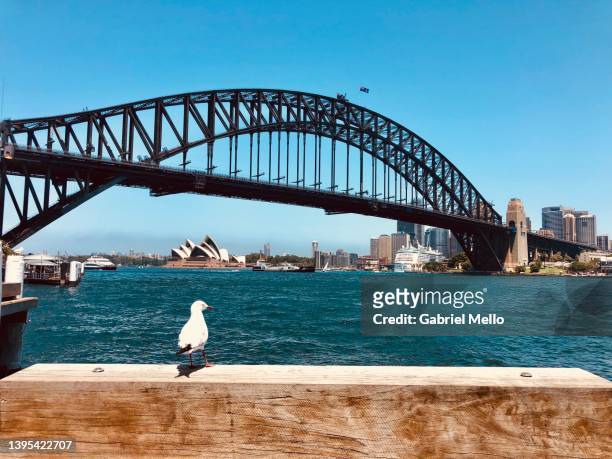 views of harbour bridge ad opera house - sydney harbour stock pictures, royalty-free photos & images