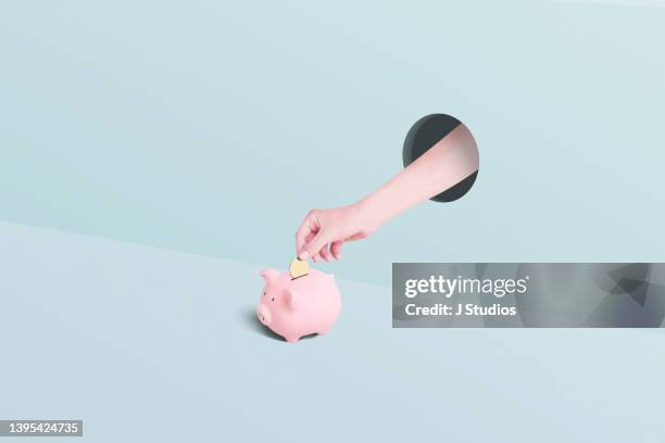 hand placing gold coin into piggy bank - safety funny photos et images de collection