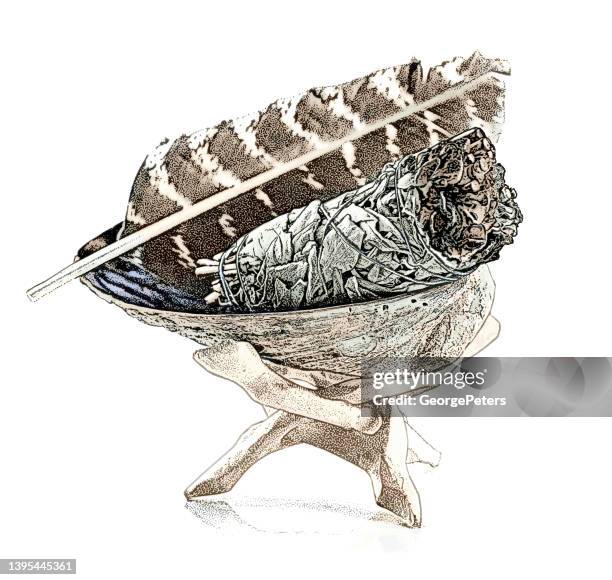 sage smudge stick - sagebrush isolated stock illustrations