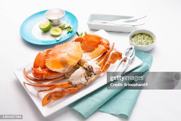 steamed crabmeat in a plate - crab leg stock pictures, royalty-free photos & images