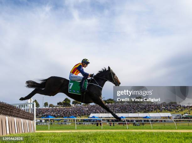 William McCarthy riding Heberite jumping during win in Race 7, the Lyndoch Living Grand Annual Steeplechase, during Grand Annual day at Warrnambool...