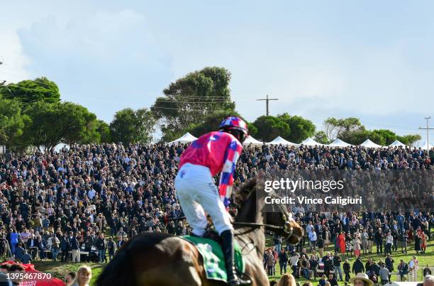 Richard O'Donoghue riding My King's Counsel to the start in front of the huge crowd on the hill in Race 7, the Lyndoch Living Grand Annual...