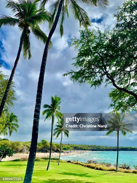 hapuna beach- hawaii - hapuna beach 個照片及圖片檔