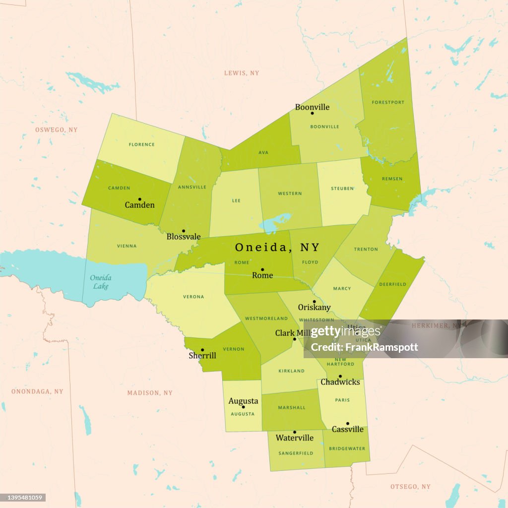 NY Oneida Vector Map Green