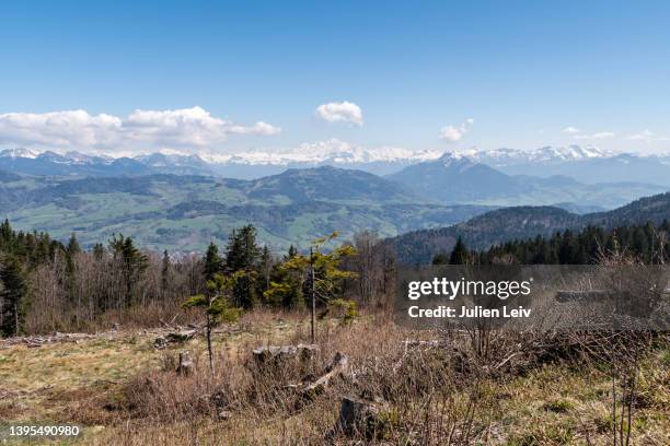 massif du mont blanc vu des voirons - haute savoie - fotografias e filmes do acervo