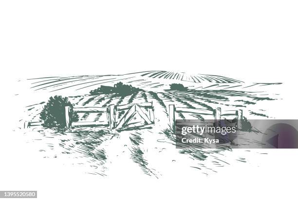 farm gate drawing - country road vector stock illustrations