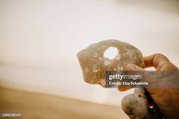 perforated stone on a beach - perforated stock pictures, royalty-free photos & images
